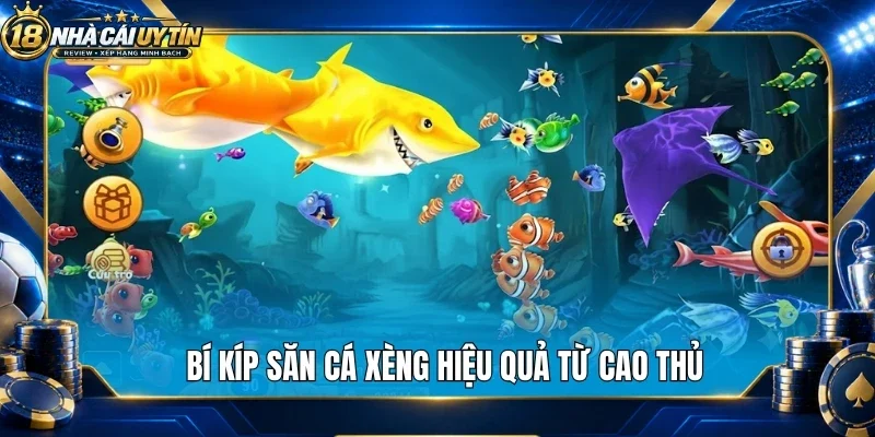 Bí kíp săn cá xèng hiệu quả từ cao thủ