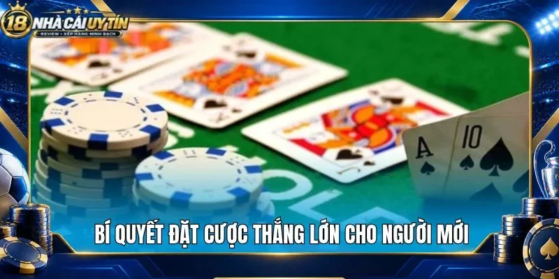 Bí quyết đặt cược thắng lớn cho người mới