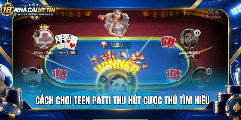 Cách chơi teen patti thu hút cược thủ tìm hiểu