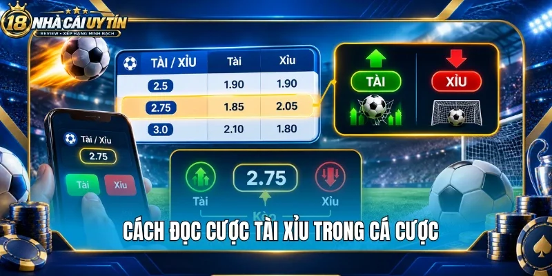 Cách đọc cược tài xỉu trong cá cược