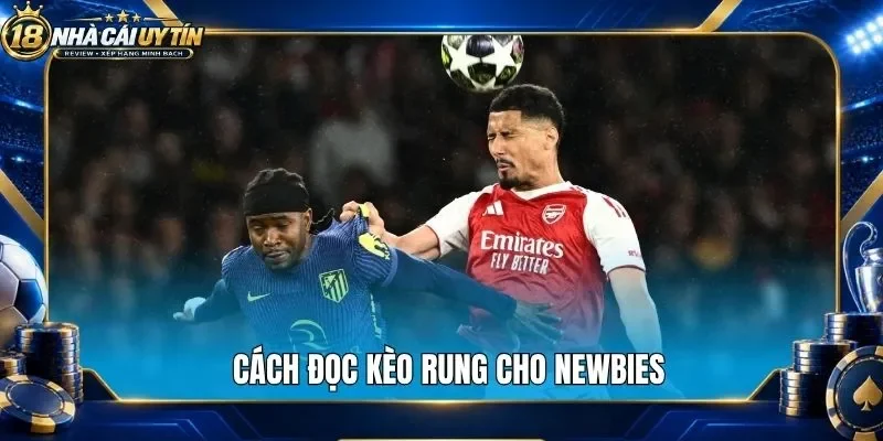 Cách đọc kèo rung cho newbies