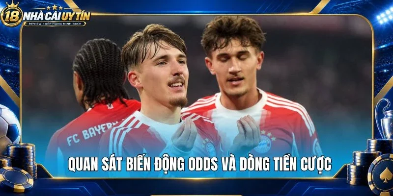 Quan sát biến động odds và dòng tiền cược