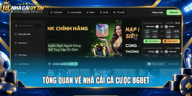 Tổng quan về nhà cái cá cược 86Bet